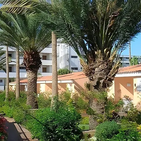 Relaxia Girasoles